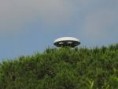 /album/ufo/gfh-jpeg1/